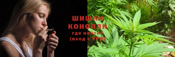 ГАЛЛЮЦИНОГЕННЫЕ ГРИБЫ Лабытнанги