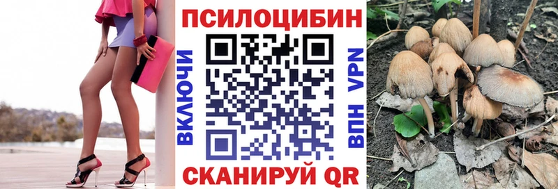 даркнет сайт  Бийск  Псилоцибиновые грибы Psilocybine cubensis 